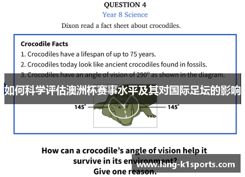 如何科学评估澳洲杯赛事水平及其对国际足坛的影响 如何科学评估澳洲杯赛事水平及其对国际足坛的影响