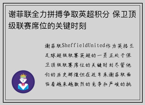 谢菲联全力拼搏争取英超积分 保卫顶级联赛席位的关键时刻